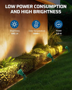 DEWENWILS 120V Spotlight Outdoor, 500LM Waterproof LED Spot Light with 3 Extra Lenses (Red Yellow Green), Landscape Lighting for Holiday, Trees, Flag, 5FT Extension Cord, UL Listed