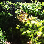Solar Watering Can Lights, Outdoor Garden Decor,LED Waterproof String Light,Metal Vintage Fairy Tale Lamps Outside,Solar Lantern with Shepherd Hook for Lawn Yard Path (Hummingbird)