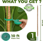 63 Inch Bendable Moss Pole Monstera Plant Support for Climbing Indoor Plants - Stakes for Potted Climbers - Tall Sticks Indoor Trellis for Houseplants - Accessories for Monstera Pot