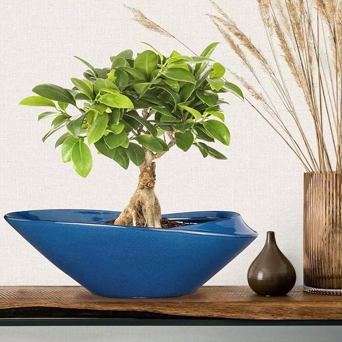 Planter Pot 18 Inch Blue Ceramic with Drainage Hole for Bonsai and Succulents