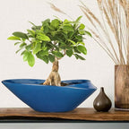 Planter Pot 18 Inch Blue Ceramic with Drainage Hole for Bonsai and Succulents
