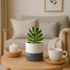 Planters, 4-Pack Modern Ceramic Pots with Drainage Holes and Saucers