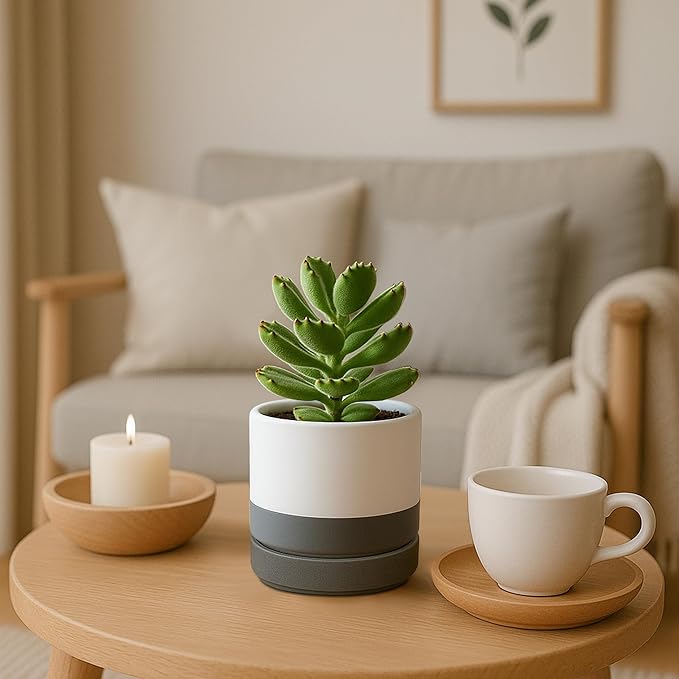 Planters, 4-Pack Modern Ceramic Pots with Drainage Holes and Saucers