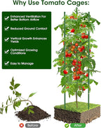Tomato Cage for Garden,6 Pack Tomato Trellis for Raised Garden Bed Height Adjustable Up to 51.2inch Tomato Plant Support Stakes for Climbing Plants Vegetables Fruits Flowers（Extra Bold）