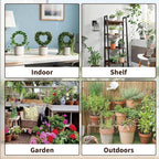 Indoor Climbing Plant Trellis - 3pcs Small Garden Potted Support Outdoor Plants Propagation Trellises Accessories with 20pcs Ties for Garden Plant Houseplant