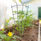 4 Pack 43'' Indoor Plant Trellis for Potted Plants Climbing Outdoor Metal Garden Trellis Houseplants Flowers Vine Ivy,Fan Shape, Black