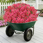 Artificial Flowers for Outdoor,Silk Flowers No Fade Fake Plastic Flowers UV Resistant Faux Plants for Outdoors Outside Front Porch Hanging Planter Window Box Garden Home Decoration,13 Pack(Rose)
