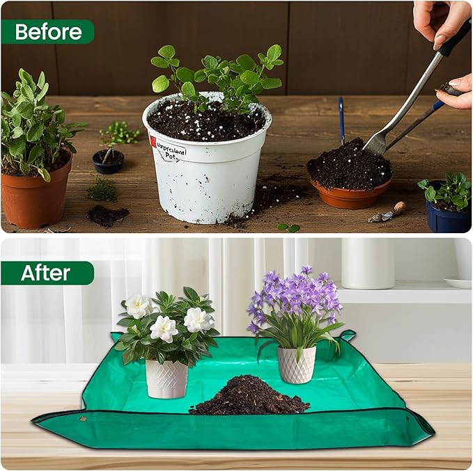 Planter Pots, 3-Pack Black Plastic 11 Inch Bonsai Training Pots with Drainage Tray