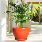 Ceramic Pot for Plants - 10 Inch Plant Pot with Drainage Hole and Saucer, Modern Round Glaze Planter for Indoor Outdoor Plants, Plant Lover Gifts, Home Garden Office Decor, Orange