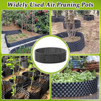 Air Pruning Containers 60 Gallon 2P New Plastic Nursery Pot Fruit Vegetable Garden Grow beds (4 ft Diameter), Black
