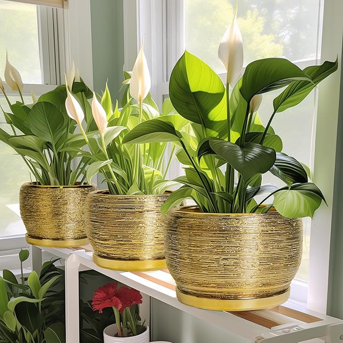 SQOWL Ceramic Planter - 6 Inch Plant Pot Indoor Outdoor, Modern Round Planter with Drainage Hole and Plant Saucer, Decorative Small Flower Pot, Home Decor, Birthday Gifts, Gold