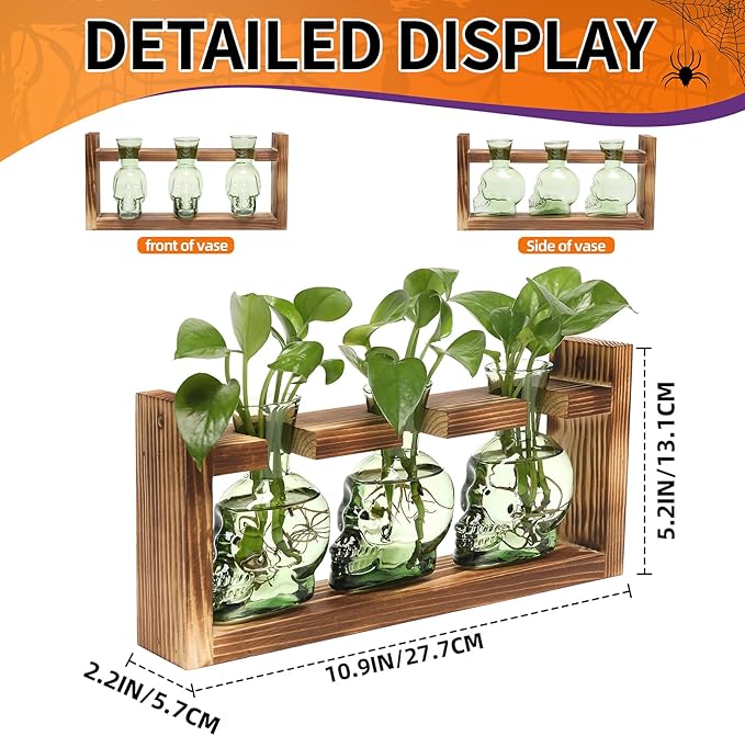 Terrarium Skull Propagation Stations, 3 Green Glass Vases with Wood Stand