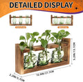 Terrarium Skull Propagation Stations, 3 Green Glass Vases with Wood Stand