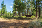 OneTigris Hideout Hammock Underquilt, Lightweight 4 Season Hammock Gear for Camping, Hiking, Backpacking, Travel, Beach, Backyard, Patio, Portable