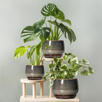 G EPGardening Ceramic Planters - 9 Inch Ceramic Pots for Plants Indoor Outdoor, Round Planter with Drainage and Saucer, Modern Indoor Flower Pots, House Room Decor, Gift for Women Men, Speckled Brown