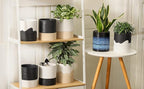 Nihow Self Watering Planter Accessory Set with Wick, Mesh - Enhance Your Plant's Growth and Health Easily