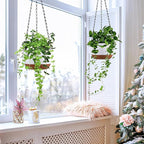 Hanging Planters for Indoor Plants, Set of 2 8/10 Inch Self-Watering Hanging Pots with Drainage Hole & Removable Water-Storage Tray II Screw-in Hooks