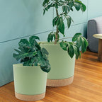 QCQHDU 12 inch Plant Pot, 2 Pack Planters for Indoor Plants with Drainage Holes & Saucer, Outdoor Flower Pots Home Garden Modern Decor