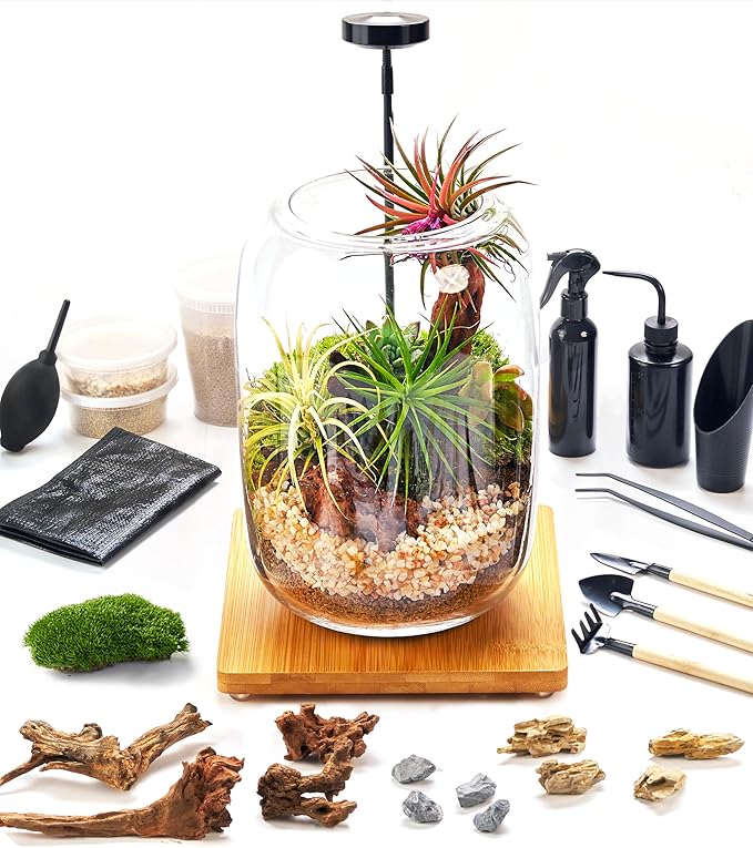 Terrarium Jar Set with Grow Light and Tools for Succulents