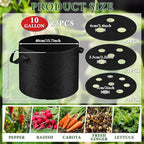 3 Pack 10 Gallon Grow Bags with Planting Holes, Planting Bags, Plant Grow Bags, Fabric Grow Bags, Heavy Duty Thickened Nonwoven Fabric Gardening Vegetable Growing Bags with 3/5/8 Planting Holes