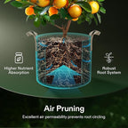 VIVOSUN 5-Pack 1 Gallons Grow Bags Heavy Duty Thickened Nonwoven Fabric Pots with Strap Handles Tan