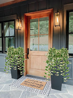 Artificial Peperomia Hanging Plants, 2 Pack, 26-Inch PVC Faux Greenery