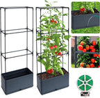 2 Packs Raised Garden Bed Tomato Planter Box with Trellis, 43.4" Self-Watering Tomato Cage with Rectangular Trellis for Climbing Plants, Flowers, Vegetables, Vine in Patio Garden Indoor Outdoor