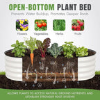 INNO STAGE 3Pcs Galvanized Raised Garden Bed Kit, Outdoor Metal Raised Garden Beds for Vegetables, Rust-Resistant & Easy Assembly, 4x2x1ft Oval Raised beds for Gardening, Flowers, Herbs (White)