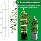 Garden Trellis for Climbing Plants, Rustproof Metal Pipe with Heavy Duty 6ft, Garden Outdoor Indoor Potted Plant Support（White）