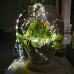 ZNYCYE 1 Pack 8 Modes Solar Waterfall Lights, Solar Fairy Lights Outdoor Waterproof, 10 Strand 200 LED Watering Can Led String Lights(No Watering Can) for Garden Party Outdoor Indoor Decoration