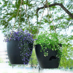 8 inch Hanging Planters, 2 Pack Self Watering Hanging Pots with 20oZ Deep Reservoir for Indoor Outdoor Plants Flowers, Black