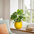 Ceramic Self Watering Planters, 6 Inch African Violet Pots for Indoor Outdoor Plants, Ceramic Plant Pot with Absorbent Inner Pot, Round Flower Pots, Living Room Decor, Gifts for Women, Yellow