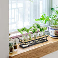 Terrarium Propagation Station with 5 Glass Jars and Black Metal Stand