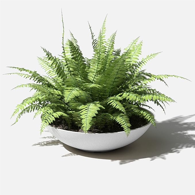 Veradek Mason Series Lane Bowl Planter| for Indoor or Outdoor Tabletops/Gardens |Made from Plastic-Stone Composite with Drainage Holes|Modern Décor for Flowers, Succulents, Small Plants