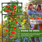 3 Pack Tomato Cages, Square Tomato Plant Stakes Support Cages Trellis for Garden Climbing Vegetables Flowers Fruits,Extra Bold,Black
