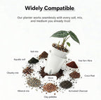 10 Pack 3 Inch Self Watering Pots for Indoor Plants, White Plastic Planters with Water Level Indicator, Drainage Holes & Wick, Small Plant Pots for Cuttings, Seedlings, Herbs, African Violets