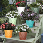 6 Pack 6 Inch Indoor Plant Pots with Drainage Holes, Outdoor Plastic Decorative Flower Pots, Garden Planters with Tray Saucers for Orchids, Violets, Succulents, Herbs, and Other Plants