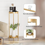 Metal Gold Tall Plant Stand Indoor or Outdoor - 30 inch 2 Tier Modern Corner Planter Shelf Rack with 2 Removable Display Shelves(10 inch) for Bedroom Living Room Balcony