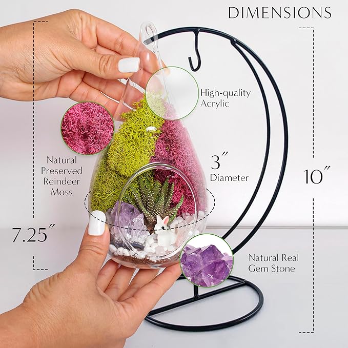 Teardrop Terrarium Kit with Stand, Moss & Pebbles