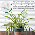 Self Watering Planter Insert. Plant Watering Devices. 3-Pack Cactus Plant Watering Bulbs. Plant Watering Globes. Plant Gifts Plant Lover Gifts