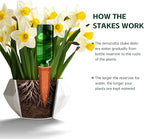 Large Terracotta Watering Spikes with Lids, Automatic Plant Waterer Outdoor | Indoor, Vacation Friendly Clay Plant Watering Devices System, Slow Release Self Watering Planter Insert, 6 Pack