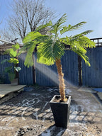 Artificial Palm Fronds Set of 5, 34 Inch Plastic Greenery