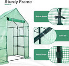 Aoodor Walk-in Greenhouse with 4 Shelves, 4.7×2.5×6.4 ft Outdoor Garden Plant House with PE Cover for Growing Vegetables, Flowers, Herbs