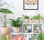 10inch Retro Ceramic Planter with Drainage Hole and Saucer for Multiple Plants, Indoor-Outdoor Garden Pots for Succulent, Orchid, and Flower (Fits Inner Pots Up to 9 Inch, Retro Peach)