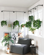 Plant Haning Rod, 2 Pack Hanging Planters for Indoor Plants with 6 Chains, Wall Plant Hanging Bar for Window Celling, 65.7 Inch, Metal Black, Pots Not Included