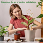Small Trellis for Potted Plants, 15.94 inch Gold Metal Plant Trellis for Climbing Plants Indoor, Pant Lattice for Ivy Vines Hoya Houseplants Flower 4 Pack