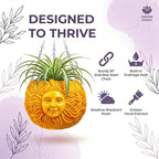 Fun & Unique Sun Face Hanging Planter Quirky Celestial Decor for Plant Lovers – Indoor Outdoor Flower Basket for Succulents & Small Plants – Decorative Garden Yard Art