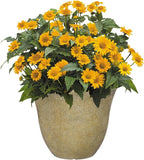 Classic Home and Garden Honeysuckle Resin Flower Pot Planter, Fossil Stone, 15" (Pack of 2)