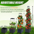 2 Packs Raised Garden Bed Tomato Planter Box with Trellis,56.8" Self-Watering Tomato Cage with Trapezoidal Trellis for Climbing Plants Flowers Vegetables Vine in Patio Garden Indoor Outdoor