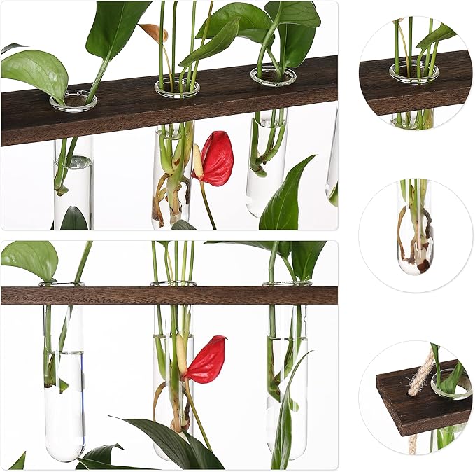 Terrarium Wall Hanging Propagation Station, 3-Tier Wood Frame, Glass Tubes